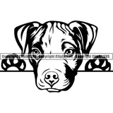 Pit Bull Peeking Dog Breed ClipArt SVG 020