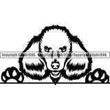 Poodle Peeking Dog Breed ClipArt SVG 005