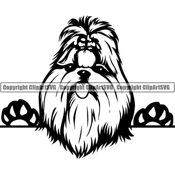 Shih Tzu Peeking Dog Breed ClipArt SVG 002