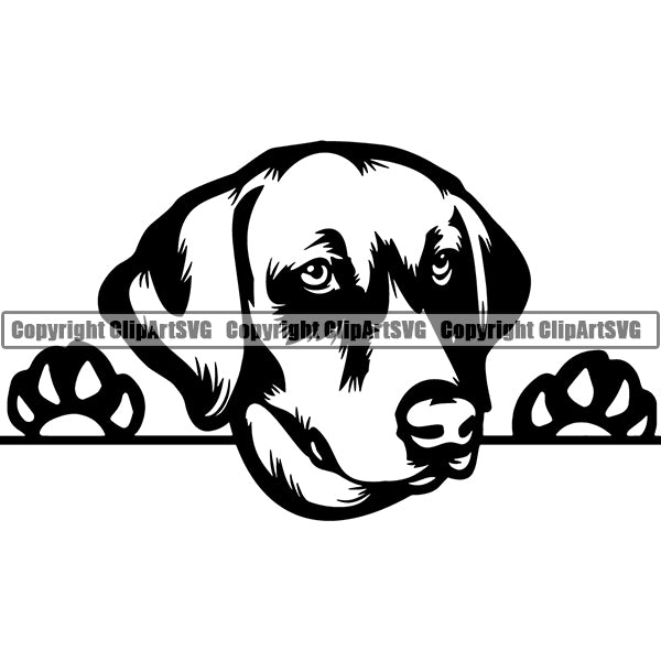 Harrier Peeking Dog Breed ClipArt SVG 002