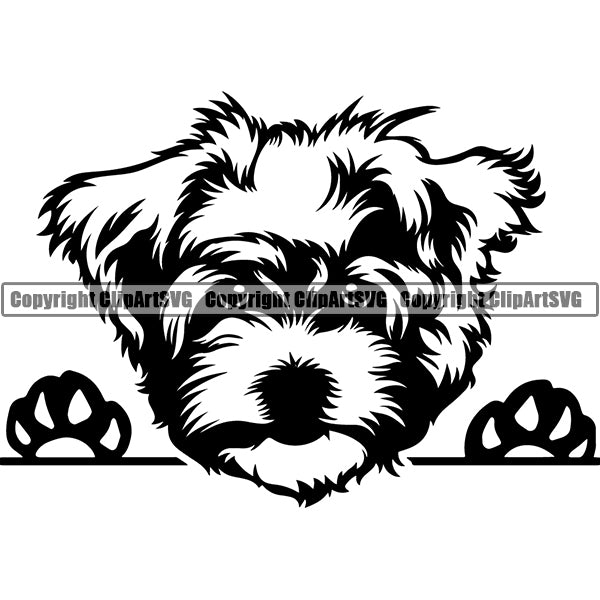 Maltese Peeking Dog Breed ClipArt SVG 001