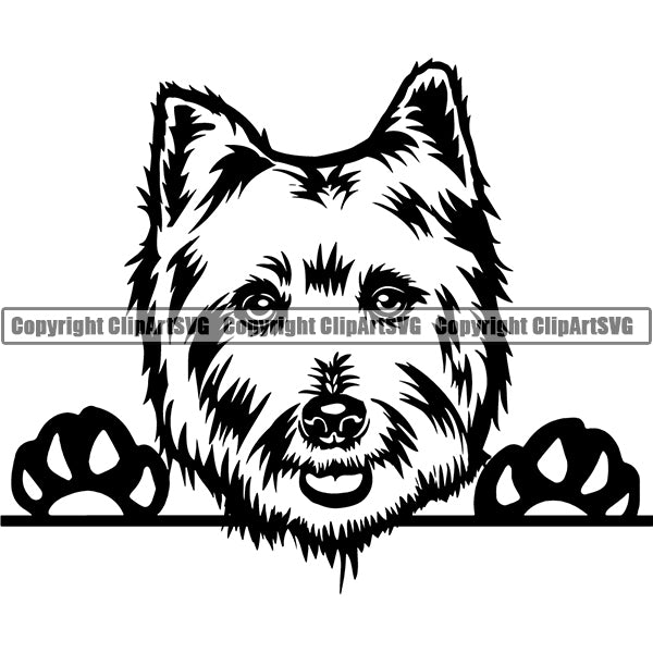 West Highland White Terrier Peeking Dog Breed ClipArt SVG 002