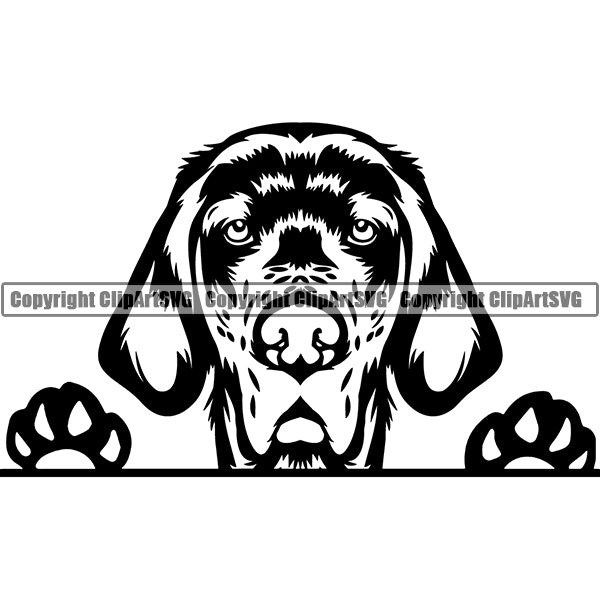 English Setter Peeking Dog Breed ClipArt SVG 002