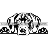 German Shorthaired Pointer Peeking Dog Breed ClipArt SVG 002