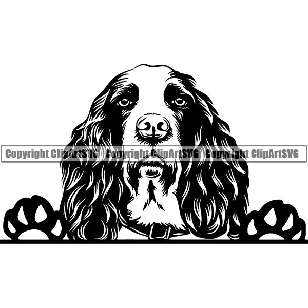 English Springer Spaniel Peeking Dog Breed ClipArt SVG 002