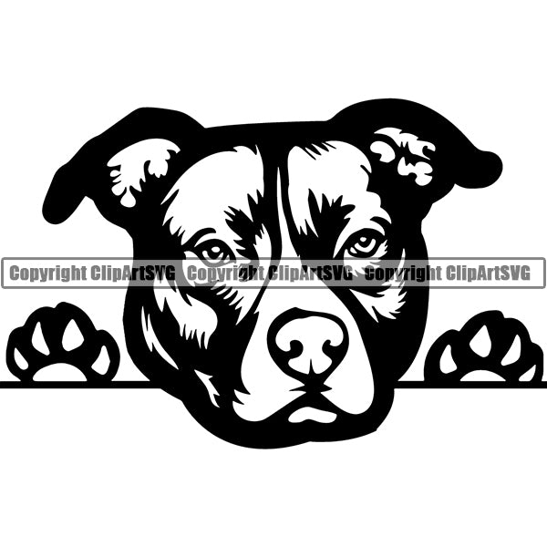 Pit Bull Peeking Dog Breed ClipArt SVG 006