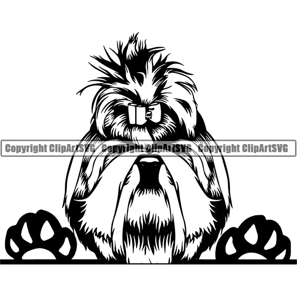 Shih Tzu Peeking Dog Breed ClipArt SVG 009