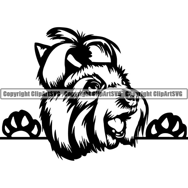 Yorkshire Terrier Peeking Dog Breed ClipArt SVG 005