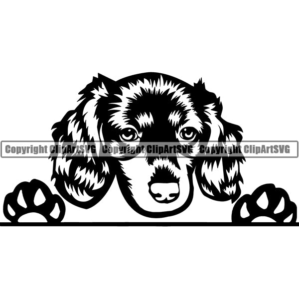 Dachshund Peeking Dog Breed Clipart SVG 005