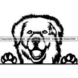 Kuvasz Peeking Dog Breed ClipArt SVG