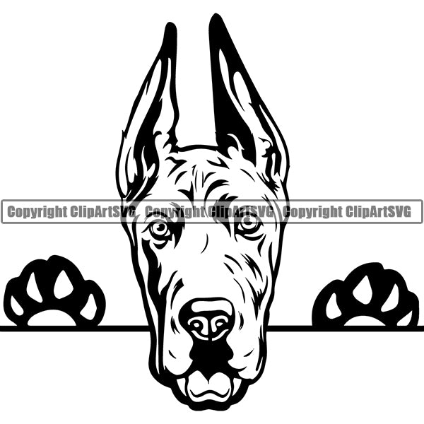 Great Dane Peeking Dog Breed ClipArt SVG 007