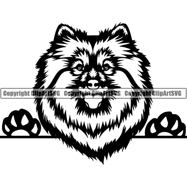 Spitz Peeking Dog Breed ClipArt SVG
