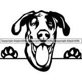 Great Dane Peeking Dog Breed ClipArt SVG 008