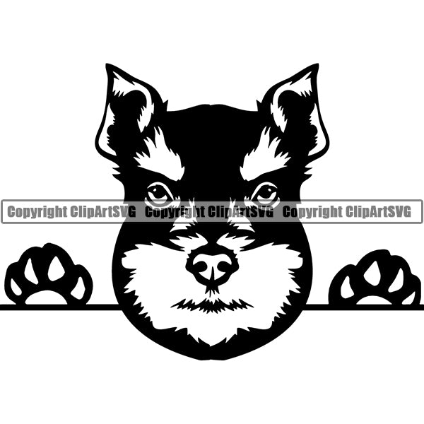 Schnauzer Peeking Dog Breed ClipArt SVG 003