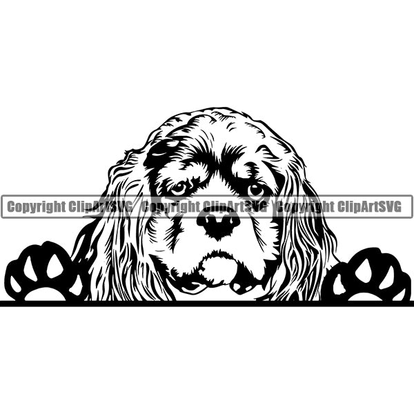 Cocker Spaniel Peeking Dog Breed Clipart SVG 001