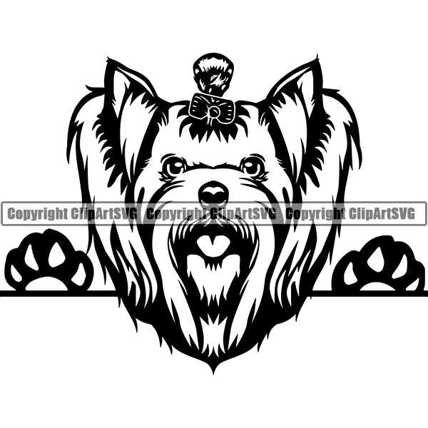Yorkshire Terrier Peeking Dog Breed ClipArt SVG 011