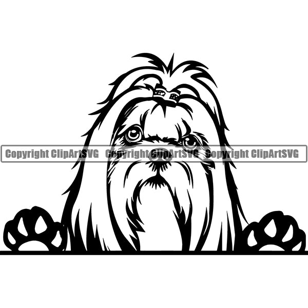 Shih Tzu Peeking Dog Breed ClipArt SVG 006
