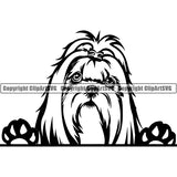 Shih Tzu Peeking Dog Breed ClipArt SVG 006