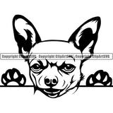 Chihuahua Peeking Dog Breed Clipart SVG 001