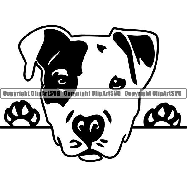 Pit Bull Peeking Dog Breed ClipArt SVG 024