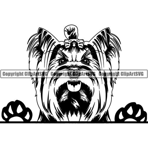 Yorkshire Terrier Peeking Dog Breed ClipArt SVG 014