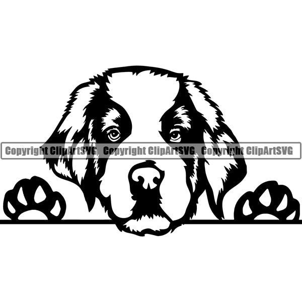 Saint Bernard Peeking Dog Breed ClipArt SVG 004