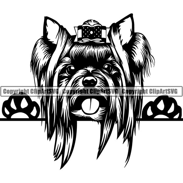 Yorkshire Terrier Peeking Dog Breed ClipArt SVG 013