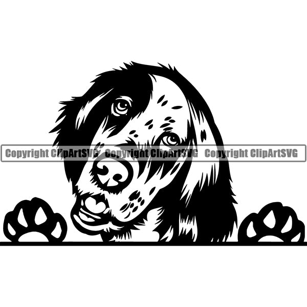 English Setter Peeking Dog Breed ClipArt SVG 003