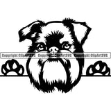 Griffon Bruxellois Peeking Dog Breed ClipArt SVG