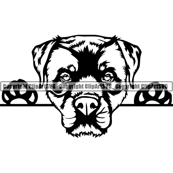 Rottweiler Peeking Dog Breed ClipArt SVG 009