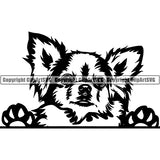 Chihuahua Peeking Dog Breed ClipArt SVG