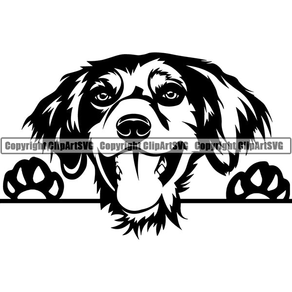 Brittany Spaniel Breed Head Face Clipart SVG 002