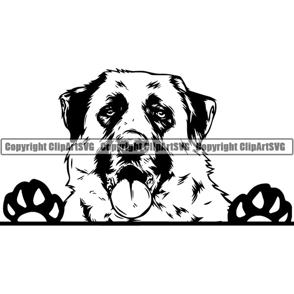 Anatolian Shepherd Peeking Dog Breed Clipart SVG