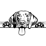 Weimaraner Peeking Dog Breed ClipArt SVG 001