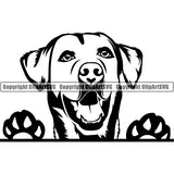 Labrador Retriever Peeking Dog Breed ClipArt SVG 003