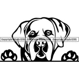 Saint Bernard Peeking Dog Breed ClipArt SVG 003