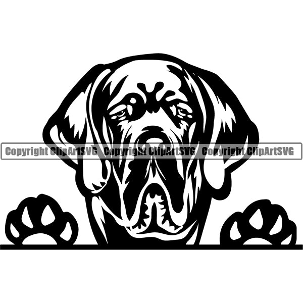 Saint Bernard Peeking Dog Breed ClipArt SVG 007