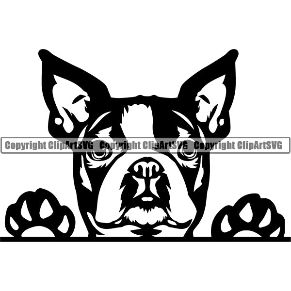Boston Terrier Peeking Dog Breed Clipart SVG 006