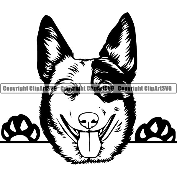 Australian Cattle Peeking Dog Breed Clipart SVG 003