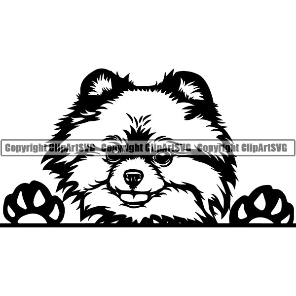 Pomeranian Peeking Dog Breed ClipArt SVG 001