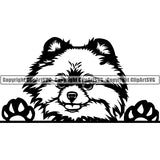Pomeranian Peeking Dog Breed ClipArt SVG 001