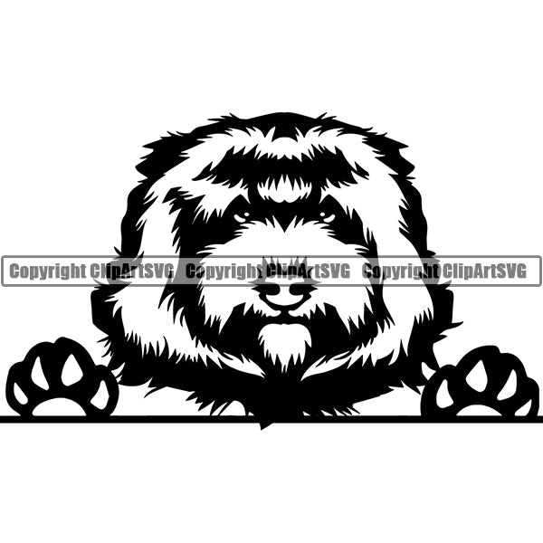 Cockapoo Peeking Dog Breed Clipart SVG 001