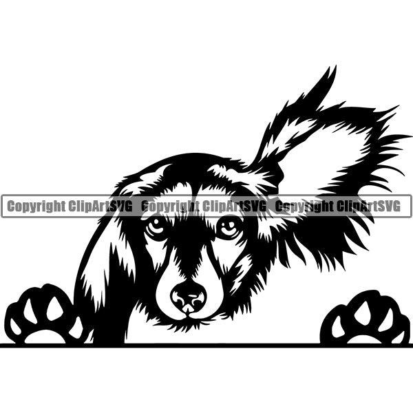 Dachshund Peeking Dog Breed Clipart SVG 007