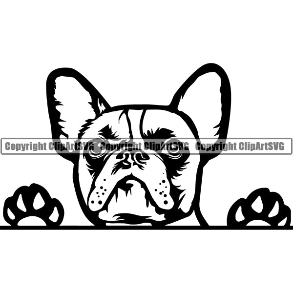 French Bulldog Peeking Dog Breed ClipArt SVG 001