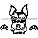 Schnauzer Peeking Dog Breed ClipArt SVG 004