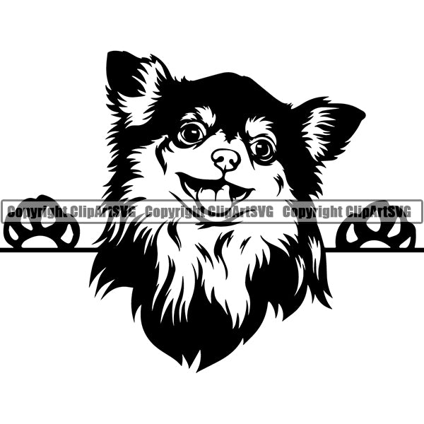 Chihuahua Peeking Dog Breed Clipart SVG 003