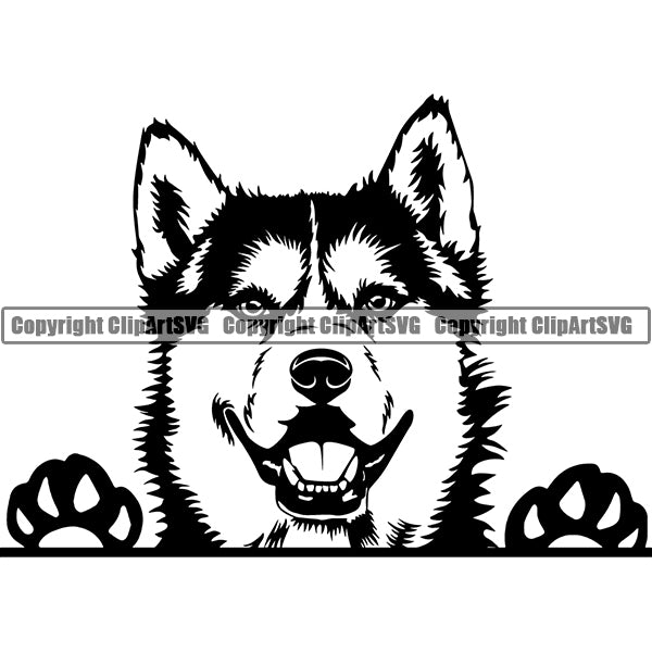 Siberian Husky Peeking Dog Breed ClipArt SVG 002