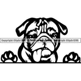 Pug Peeking Dog Breed ClipArt SVG 005