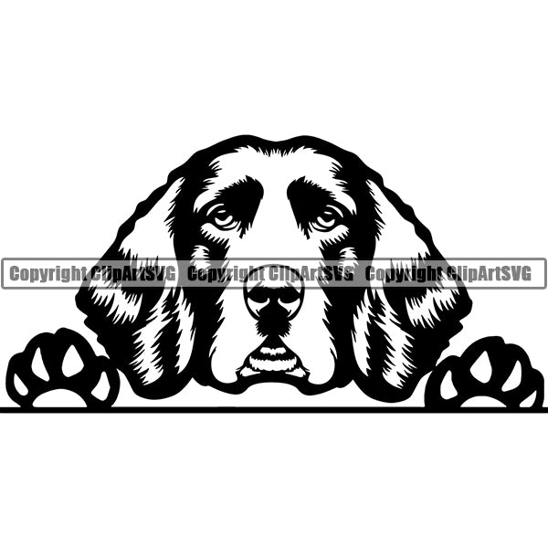 English Springer Spaniel Peeking Dog Breed ClipArt SVG 007