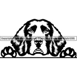 English Springer Spaniel Peeking Dog Breed ClipArt SVG 007